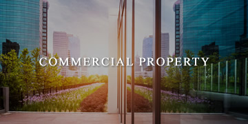 Commercial Property